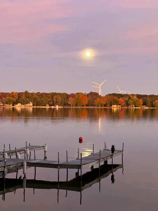 Thumb Magnolia Cottage
